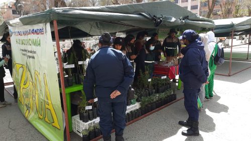 30 de septiembre - Participación de la CIPyCA en la feria por día del Medio Ambiente organizada por el GAM Viacha.